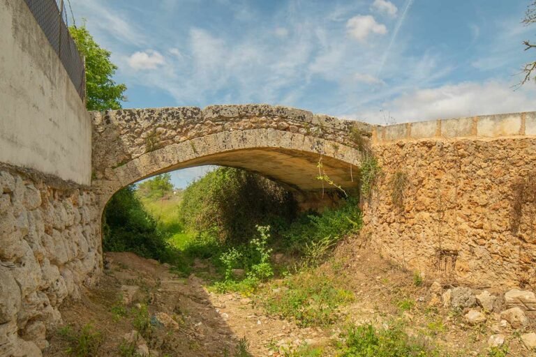 Sencelles-101