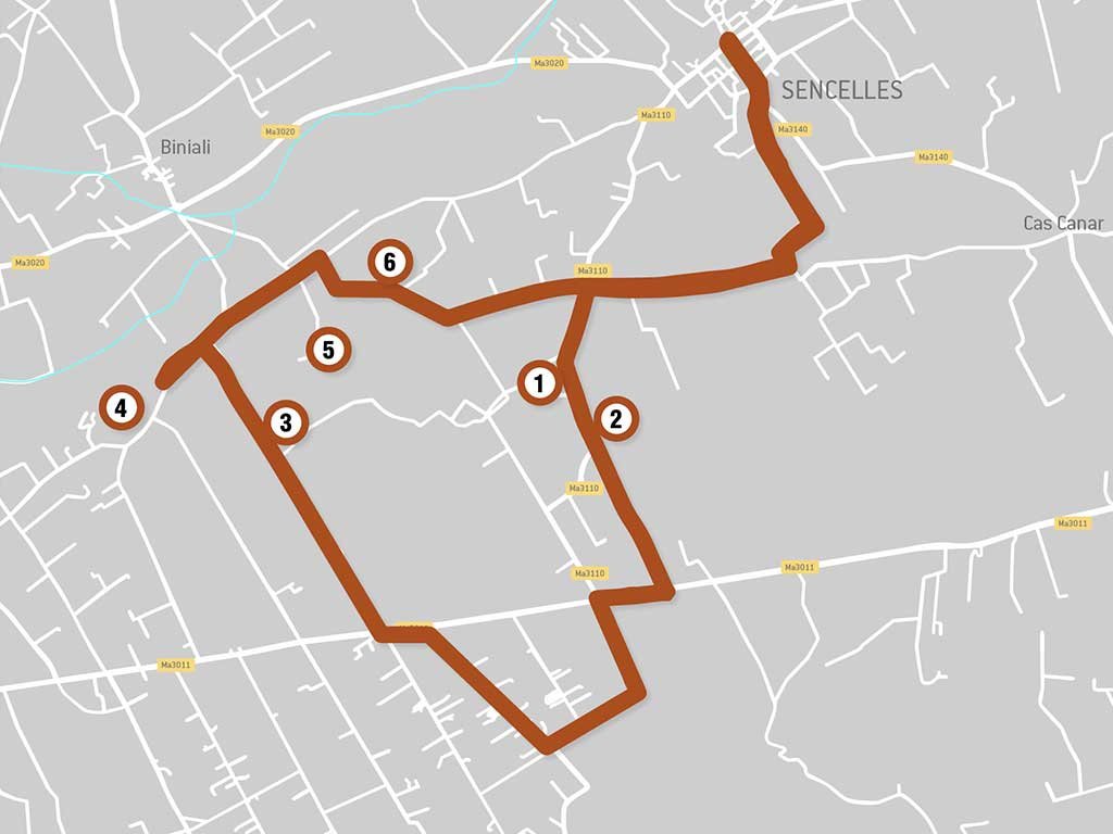 Mapa de la ruta Mapa de la ruta